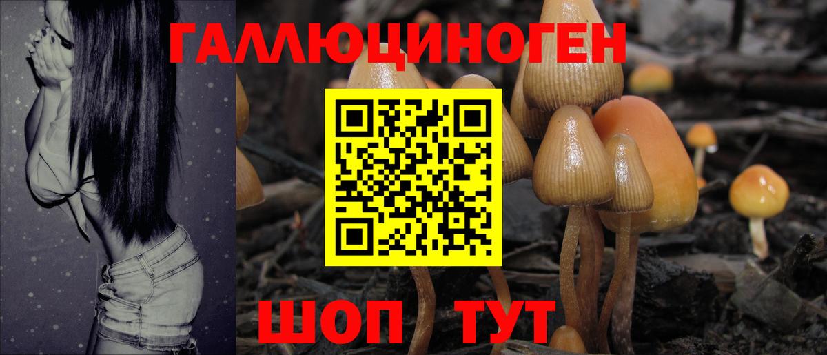 Галлюциногенные грибы GOLDEN TEACHER  Вход с VPN  Междуреченск 